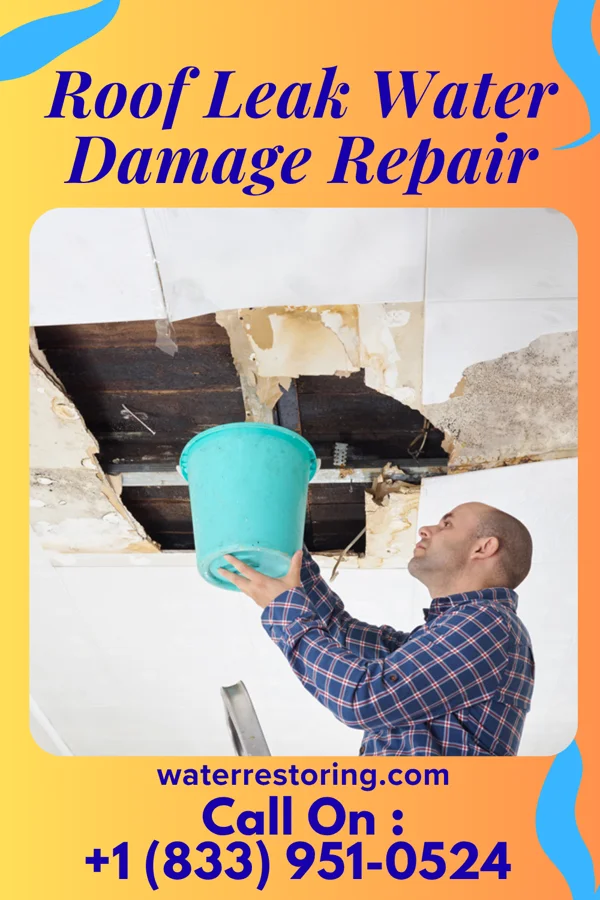 Roof Leak Water Damage Repair in Stansbury Park, UT